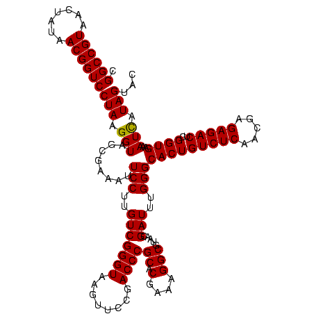 secondary structure