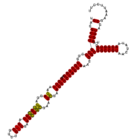 secondary structure