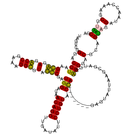 secondary structure