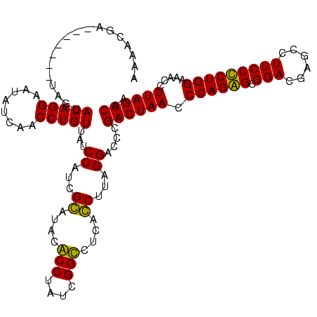 secondary structure