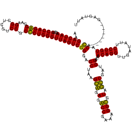 secondary structure