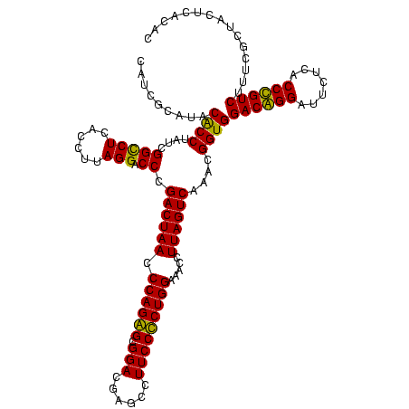 secondary structure