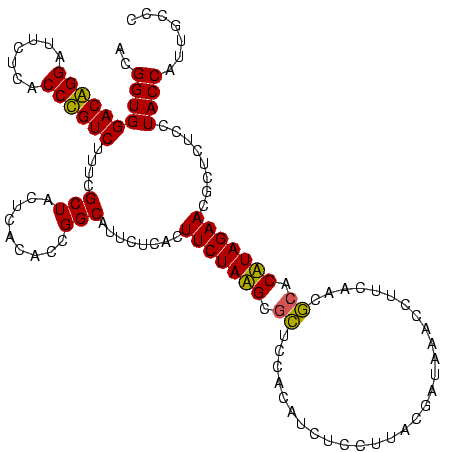 secondary structure