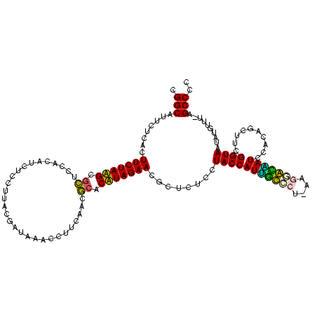 secondary structure