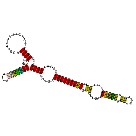secondary structure