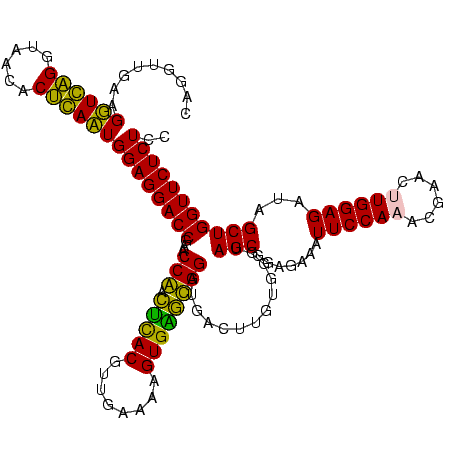 secondary structure