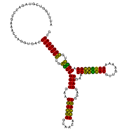 secondary structure