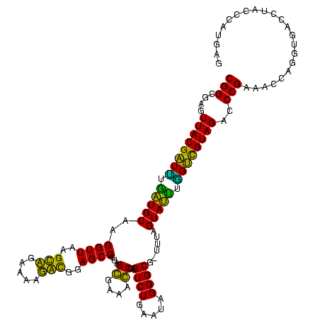 secondary structure