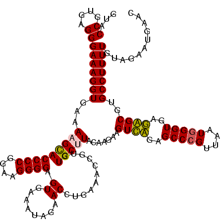 secondary structure
