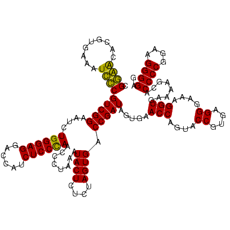 secondary structure