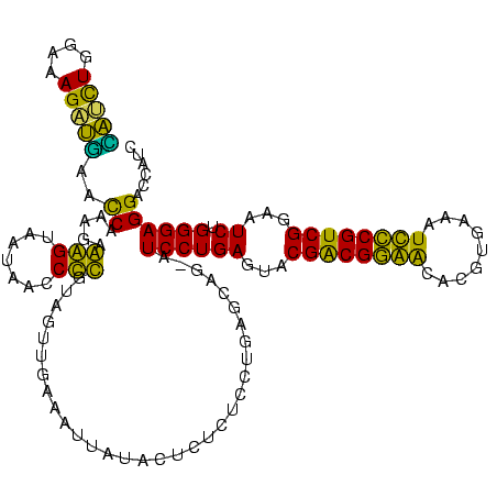 secondary structure