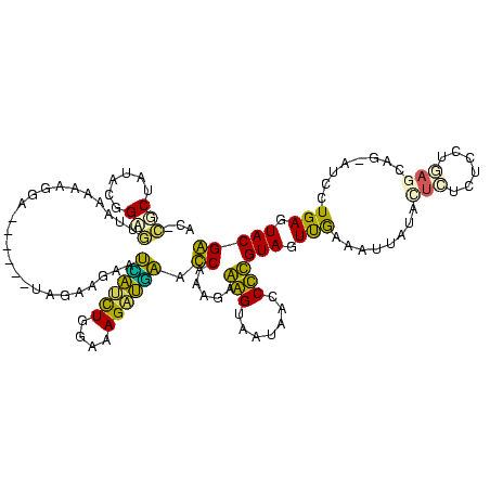 secondary structure