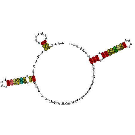 secondary structure