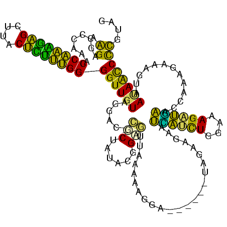 secondary structure
