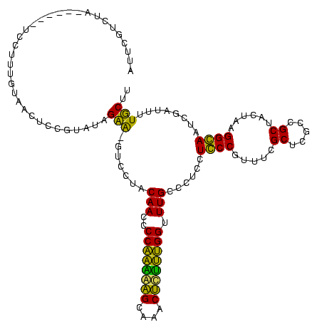 secondary structure