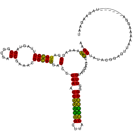 secondary structure