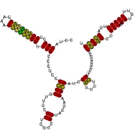 secondary structure