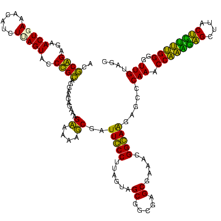 secondary structure