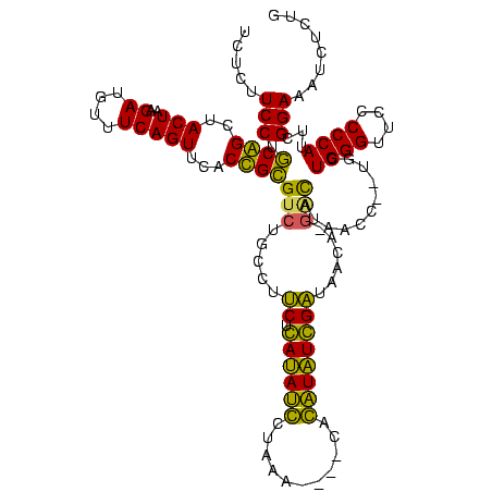 secondary structure