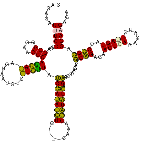 secondary structure