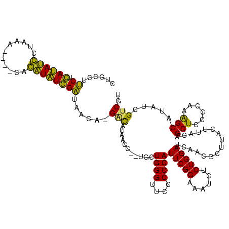 secondary structure
