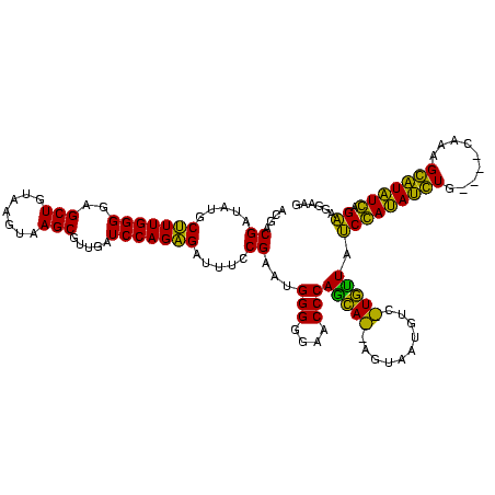 secondary structure