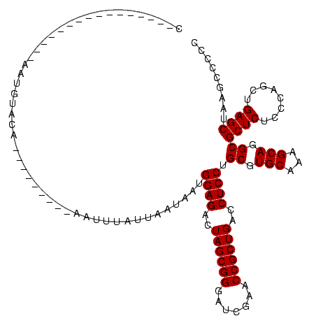 secondary structure