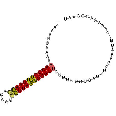secondary structure