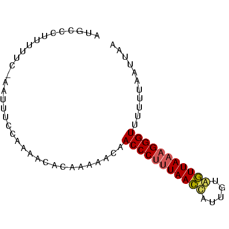 secondary structure