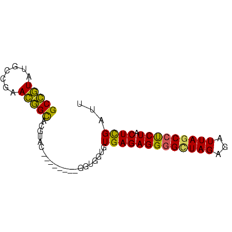 secondary structure