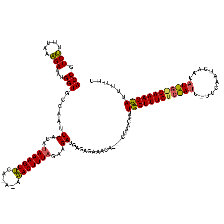 secondary structure