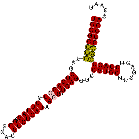 secondary structure