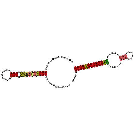 secondary structure