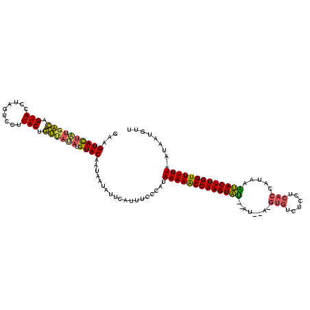 secondary structure