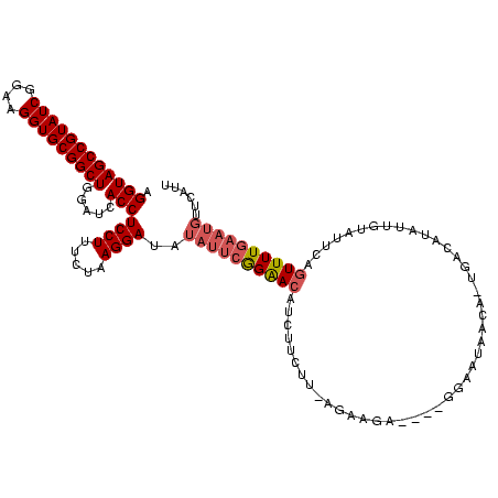 secondary structure