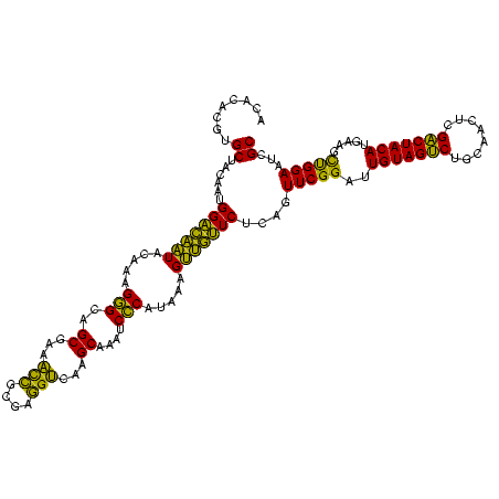 secondary structure