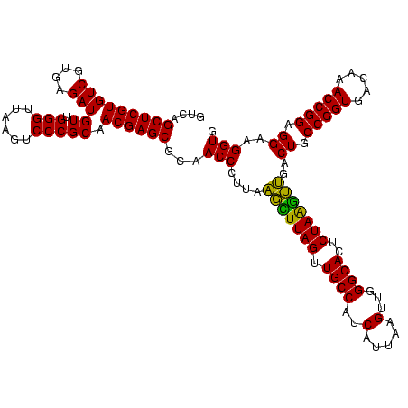 secondary structure