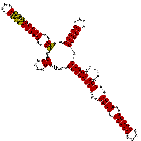 secondary structure