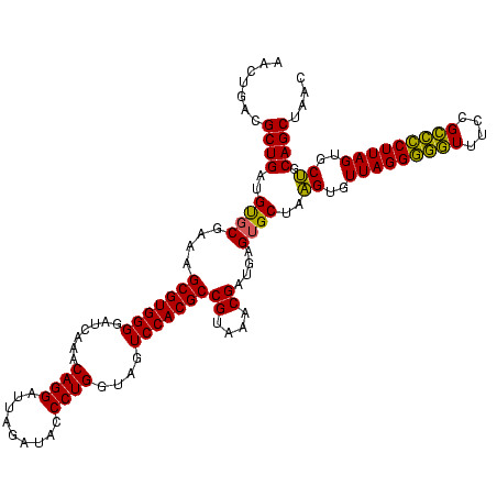 secondary structure
