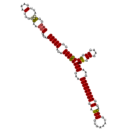 secondary structure
