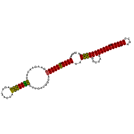 secondary structure