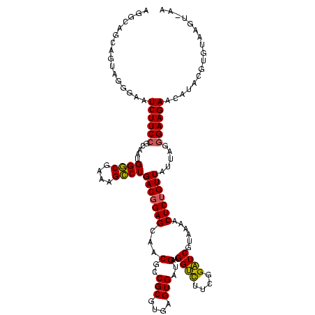 secondary structure