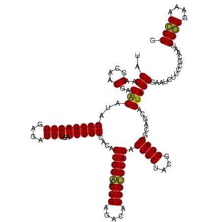secondary structure