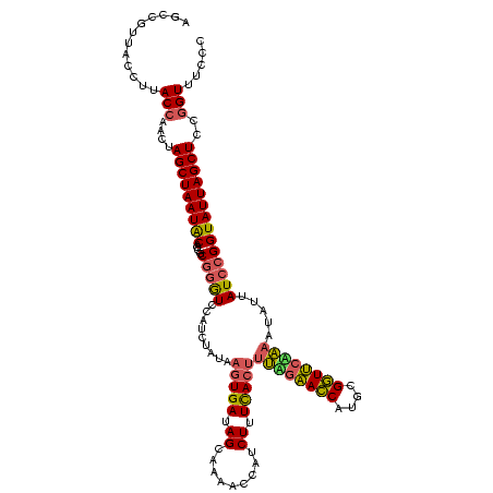 secondary structure