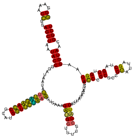 secondary structure