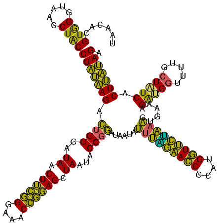 secondary structure