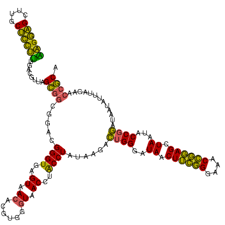 secondary structure