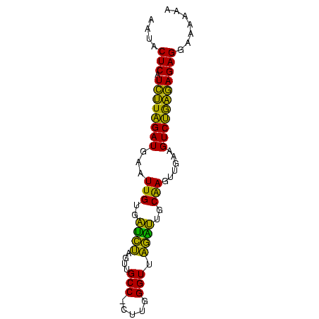 secondary structure