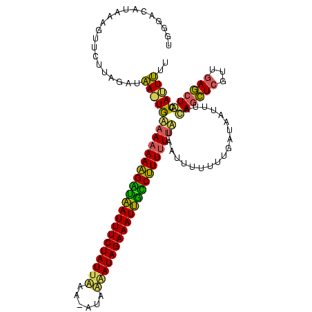 secondary structure