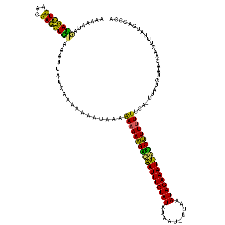 secondary structure